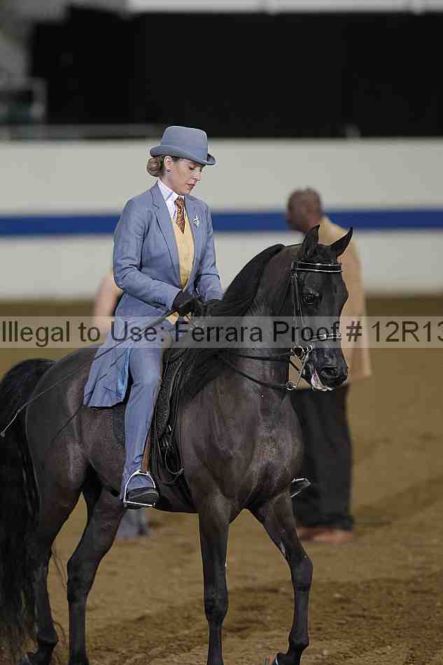 Proof 12r13_0168