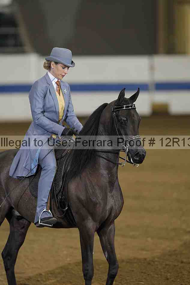 Proof 12r13_0170