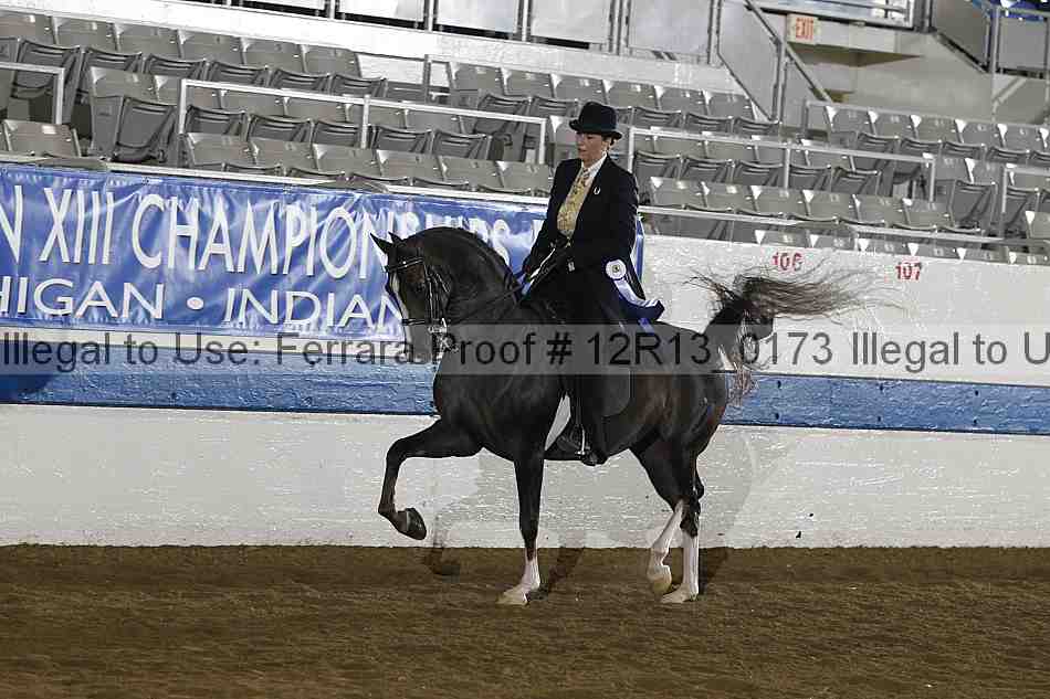 Proof 12r13_0173