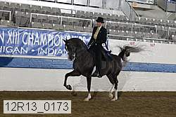 12r13_0173 proof