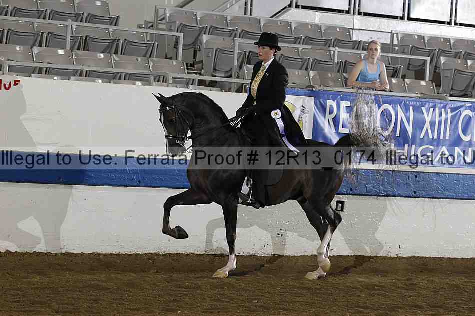 Proof 12r13_0174