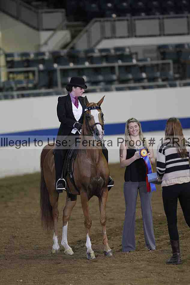 Proof 12r13_0175