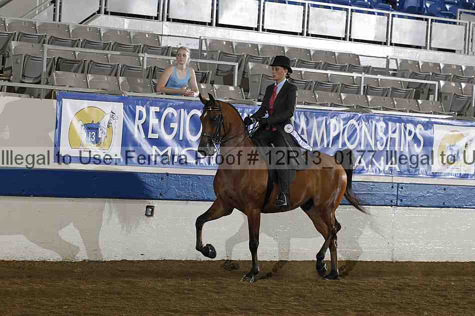 Proof 12r13_0177
