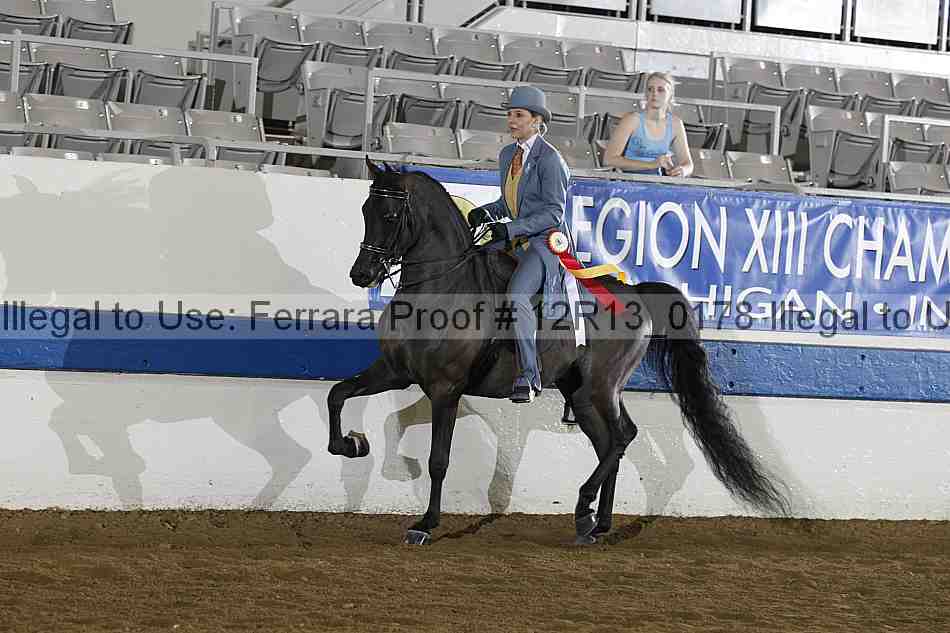 Proof 12r13_0178