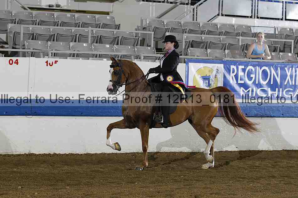 Proof 12r13_0181