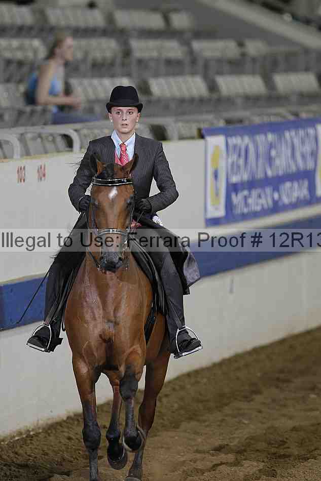 Proof 12r13_0186