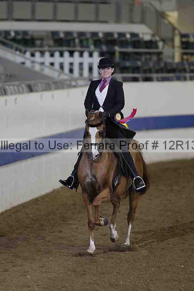 Proof 12r13_0191