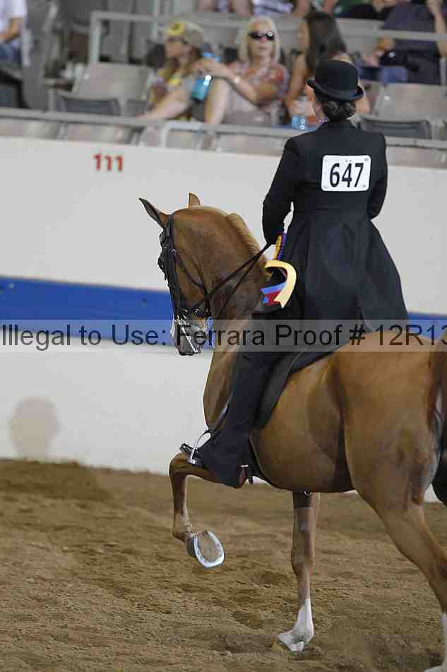 Proof 12r13_0193