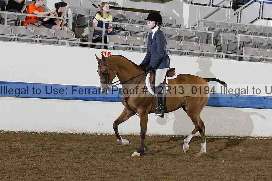 Proof 12r13_0194