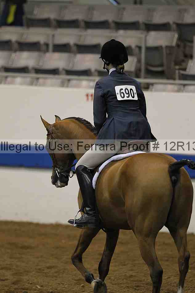 Proof 12r13_0196