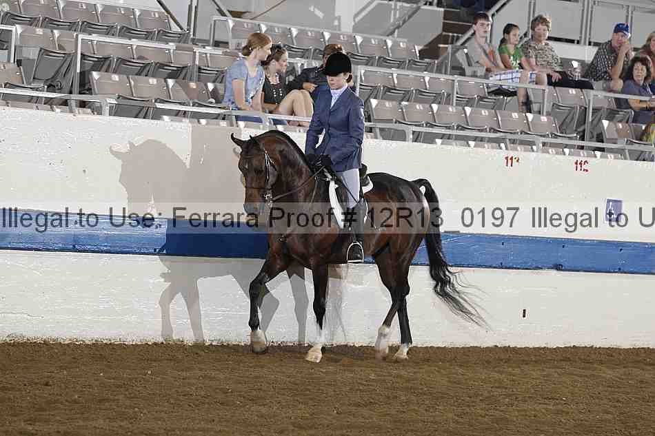 Proof 12r13_0197