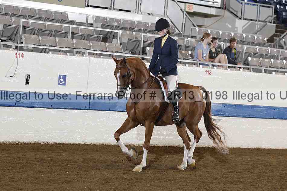Proof 12r13_0198