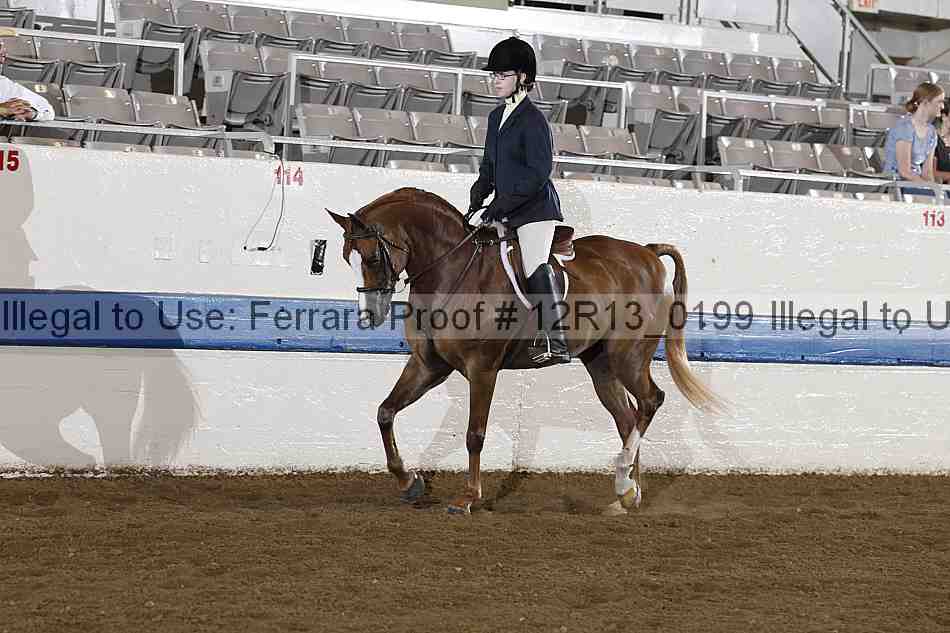 Proof 12r13_0199