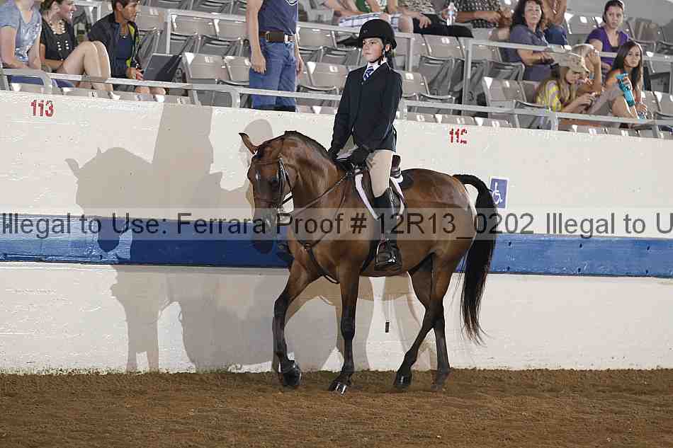 Proof 12r13_0202
