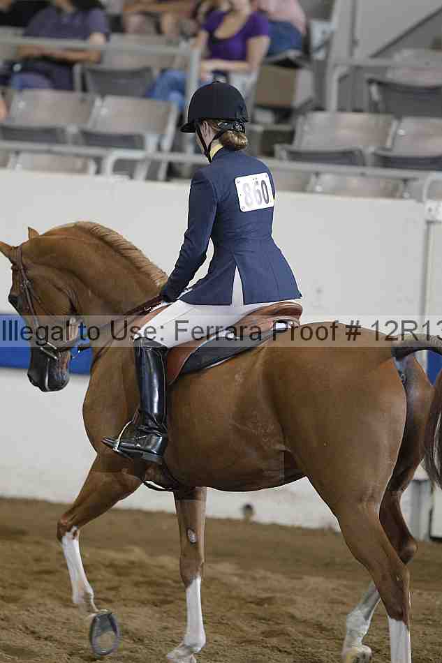 Proof 12r13_0206
