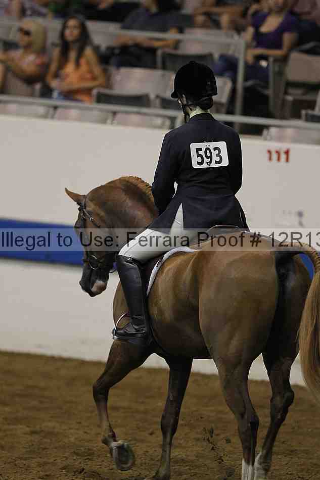 Proof 12r13_0208