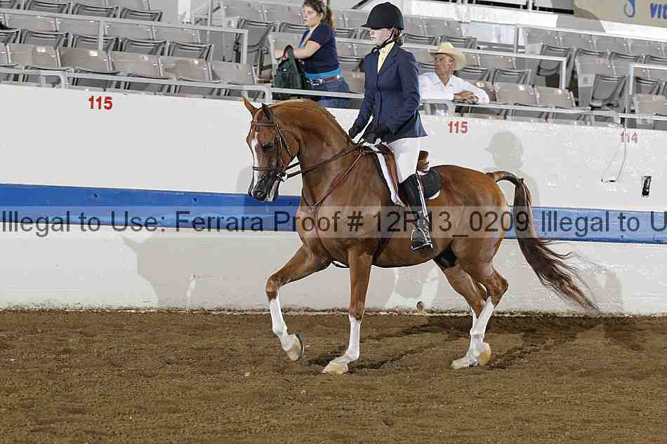 Proof 12r13_0209