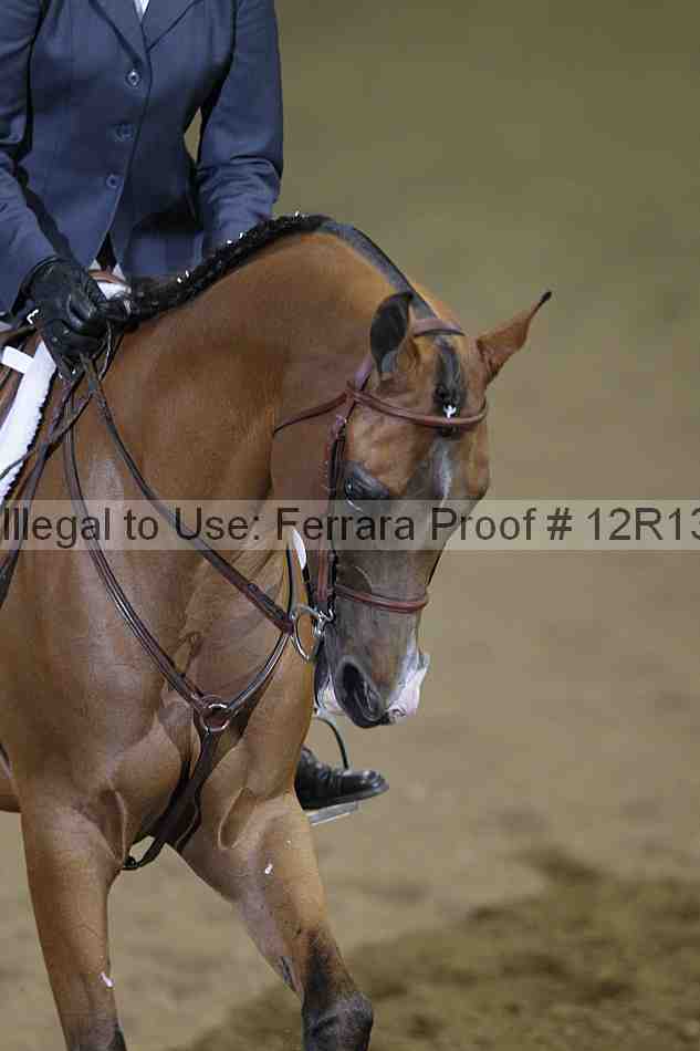 Proof 12r13_0212