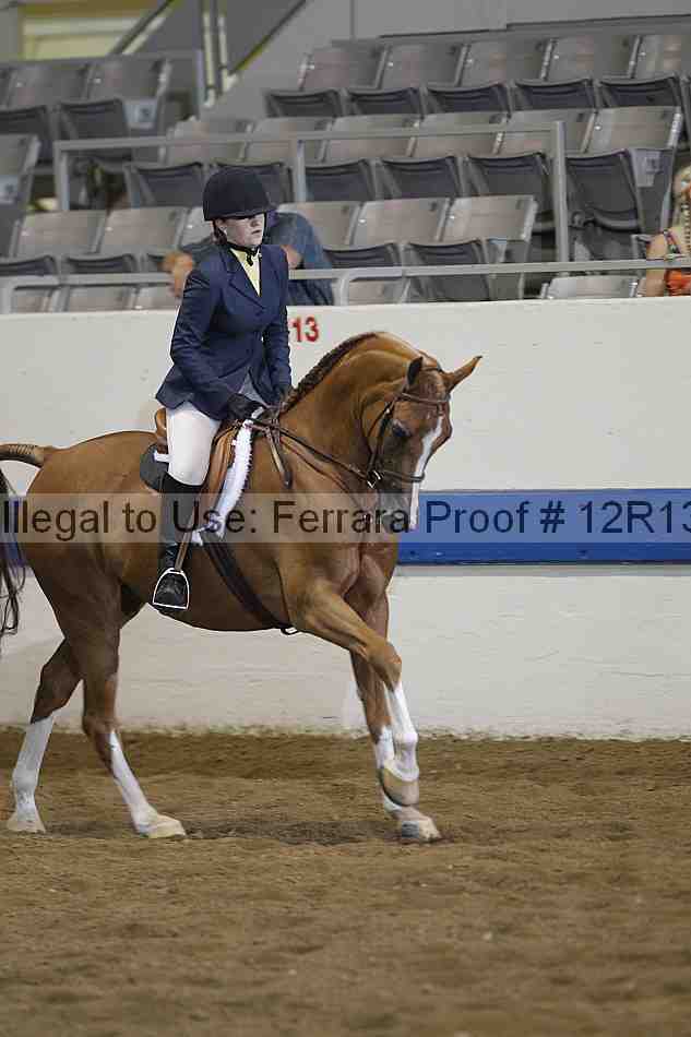 Proof 12r13_0225