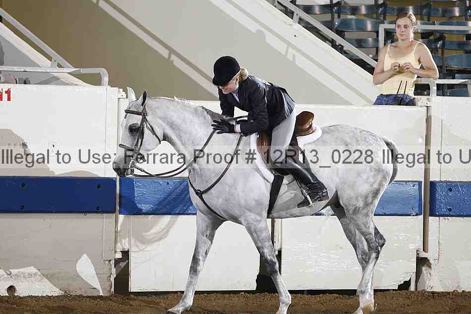 Proof 12r13_0228