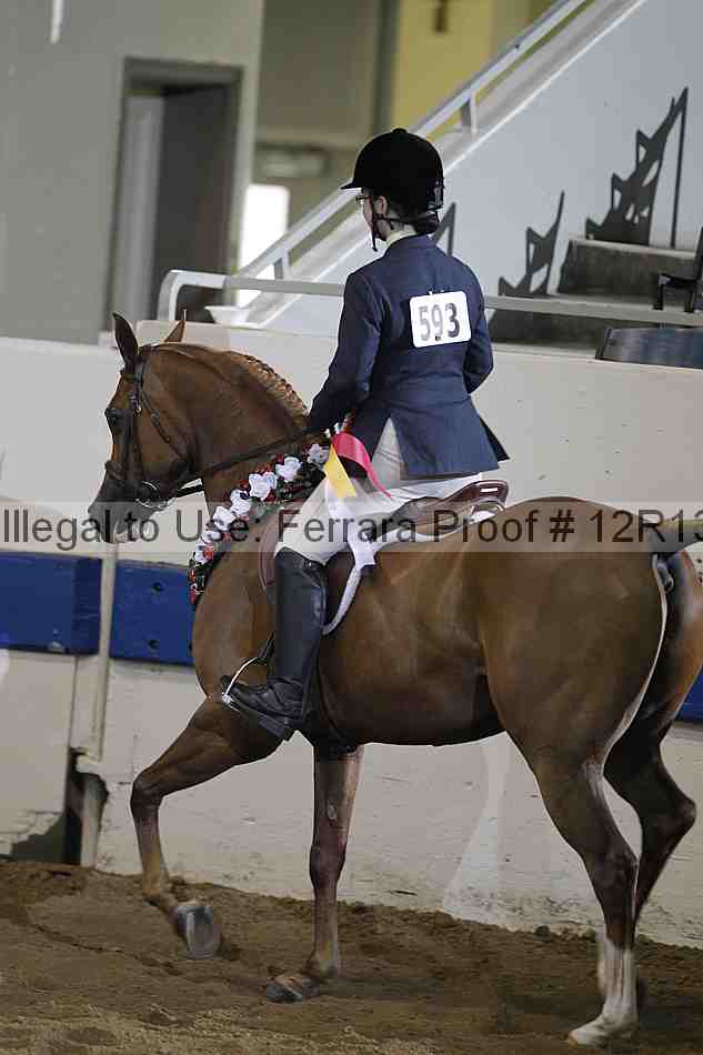 Proof 12r13_0236
