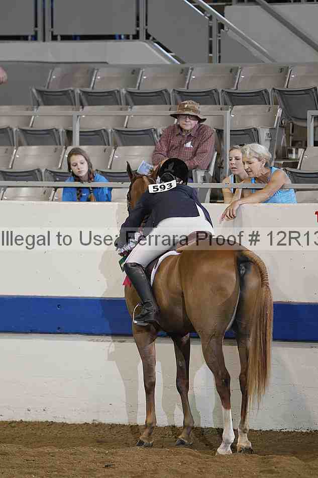 Proof 12r13_0238