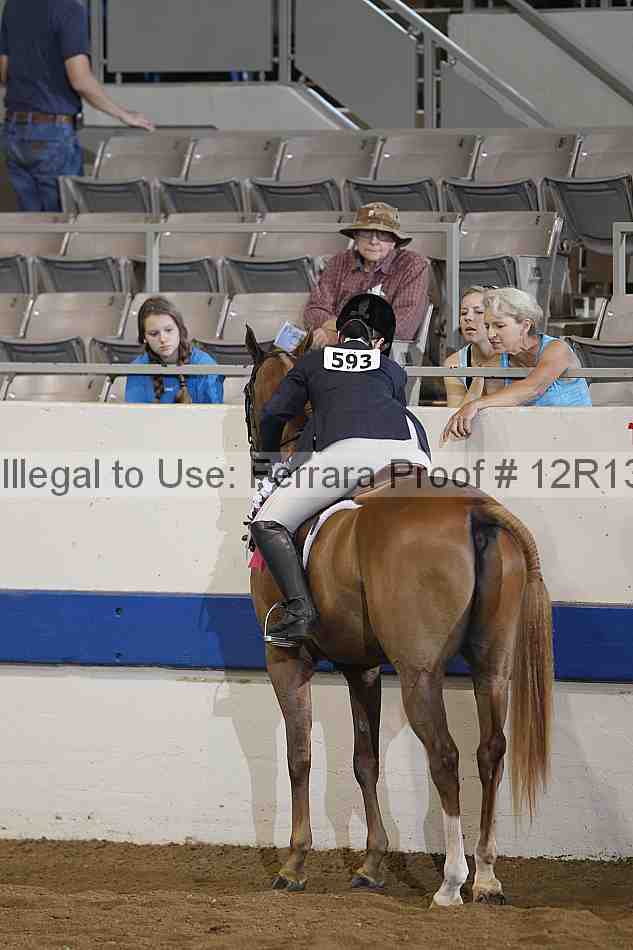 Proof 12r13_0240
