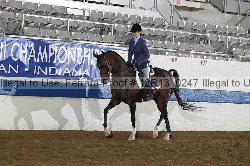 Proof 12r13_0247