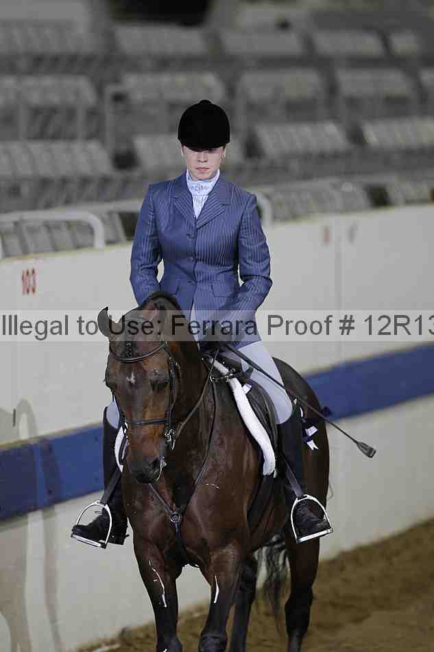 Proof 12r13_0249
