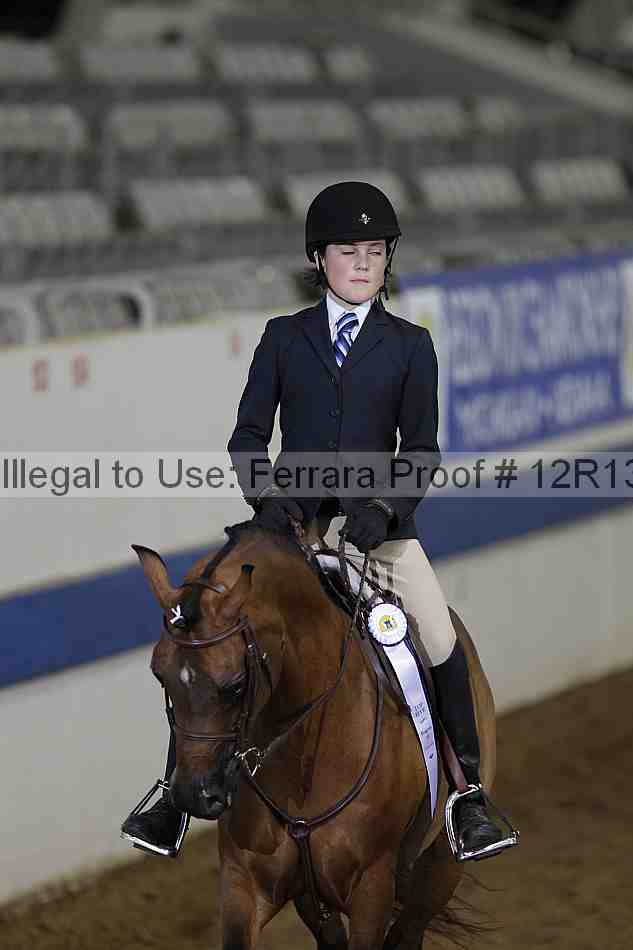 Proof 12r13_0256