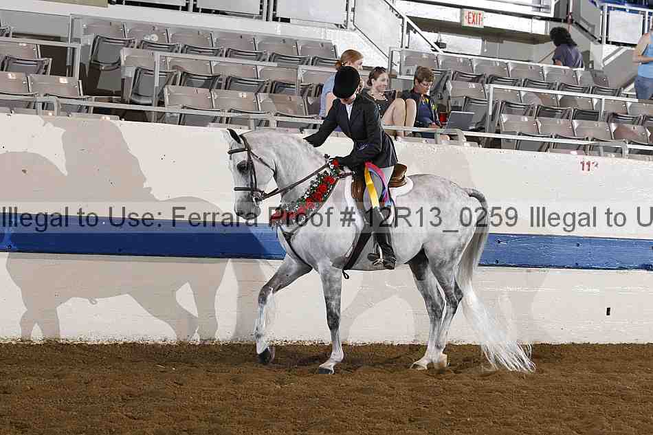 Proof 12r13_0259