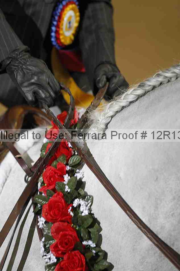 Proof 12r13_0265