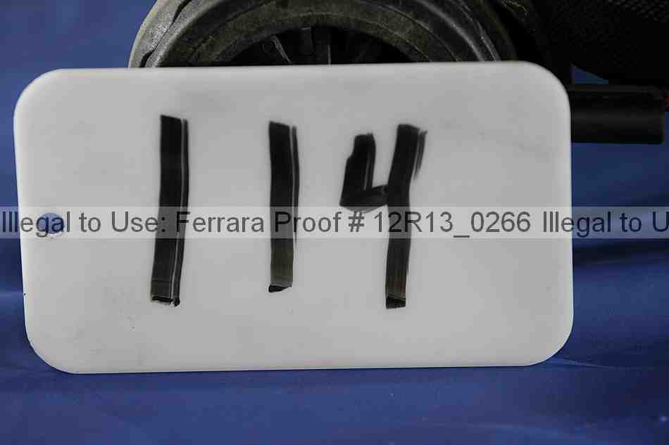 Proof 12r13_0266