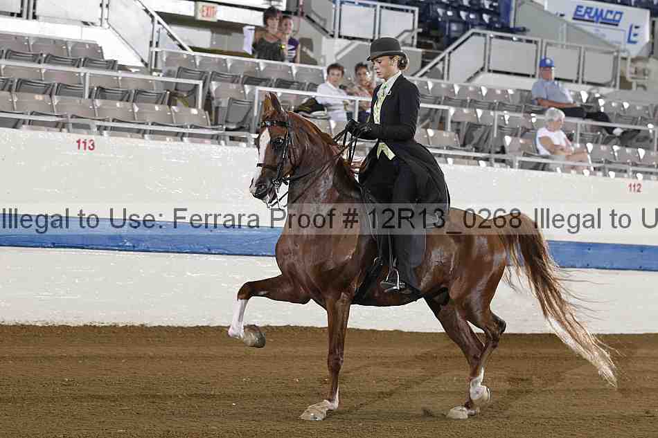 Proof 12r13_0268