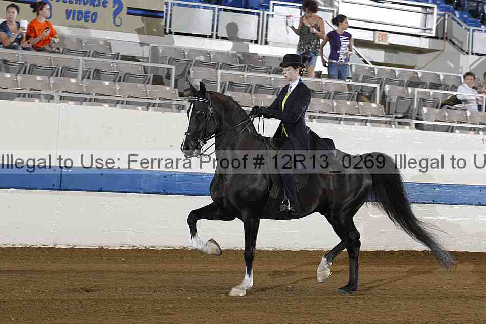 Proof 12r13_0269