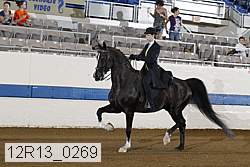 12r13_0269 proof
