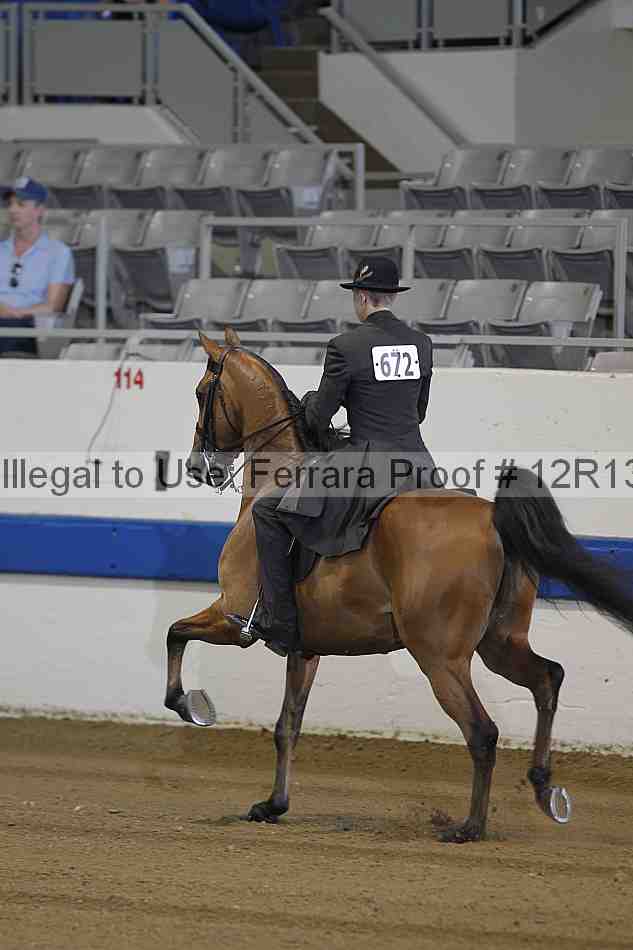 Proof 12r13_0270