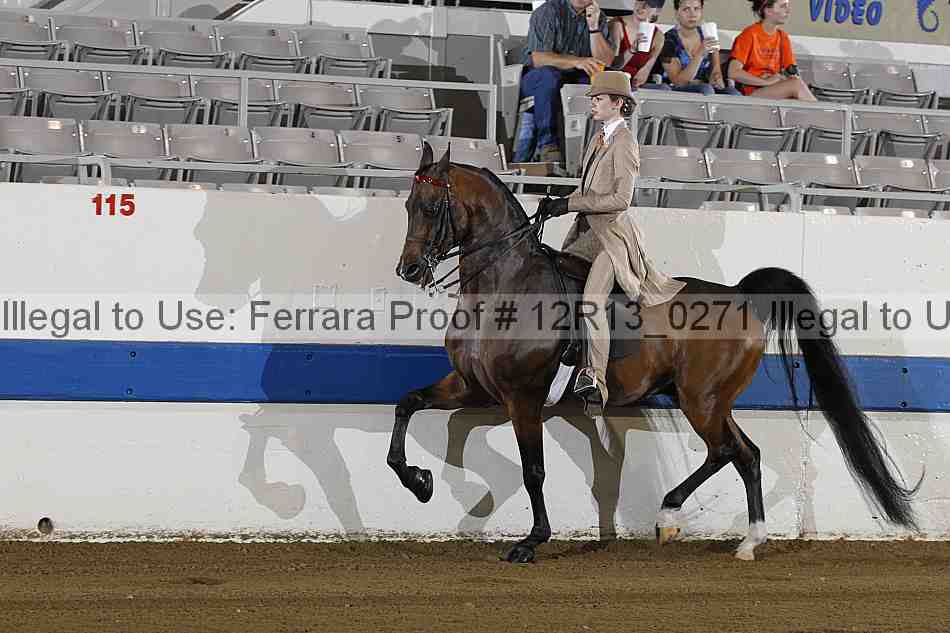 Proof 12r13_0271