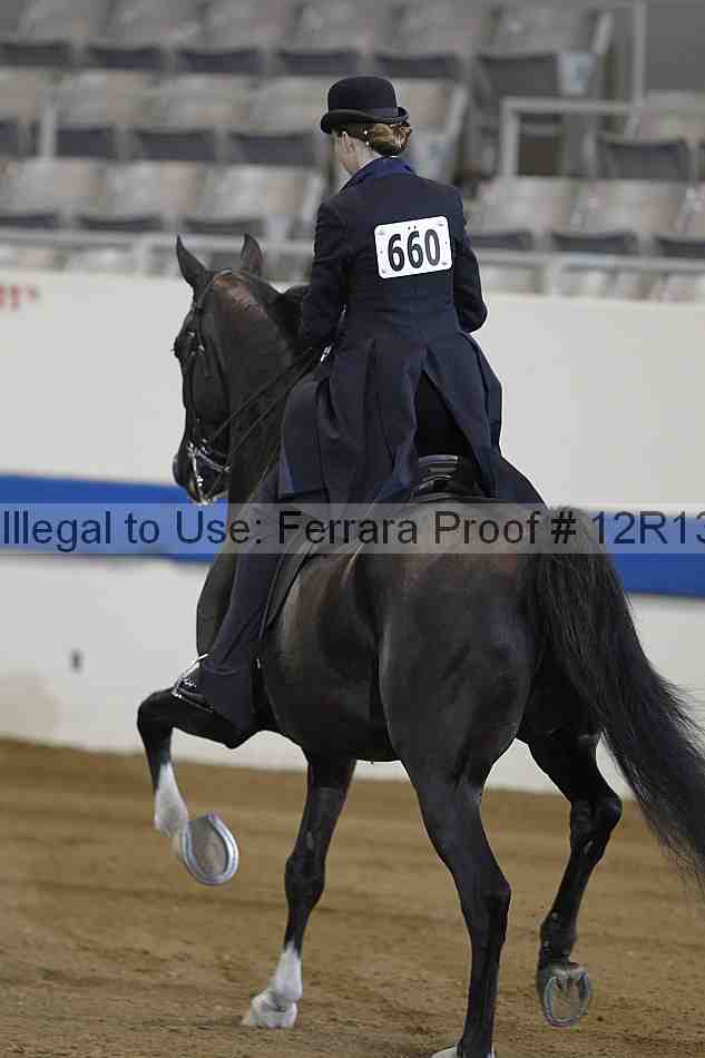 Proof 12r13_0272