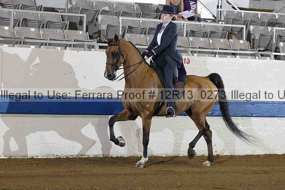 Proof 12r13_0273