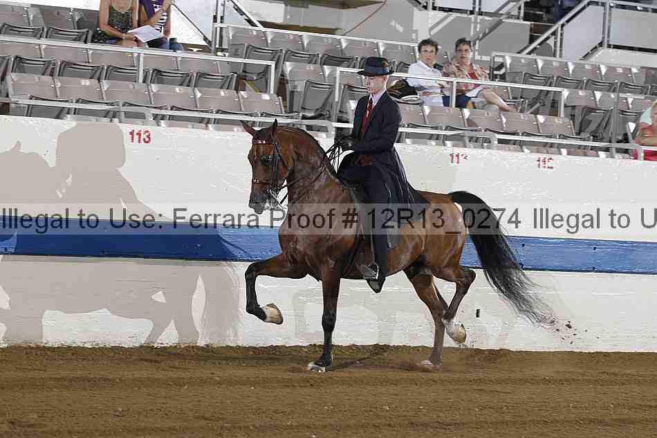 Proof 12r13_0274
