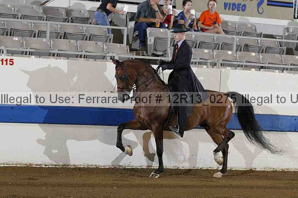 Proof 12r13_0275