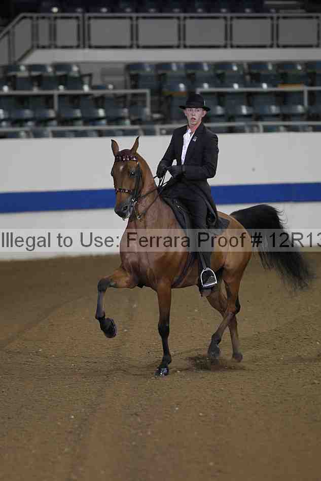 Proof 12r13_0276