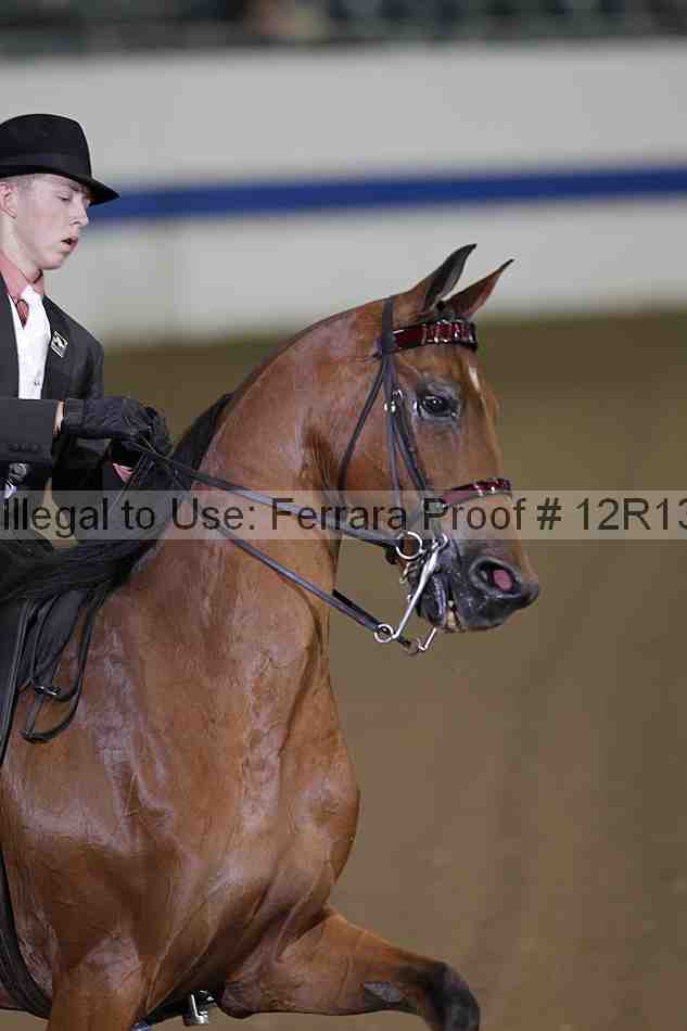 Proof 12r13_0277
