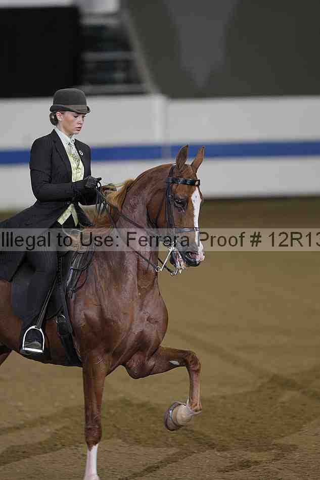 Proof 12r13_0278