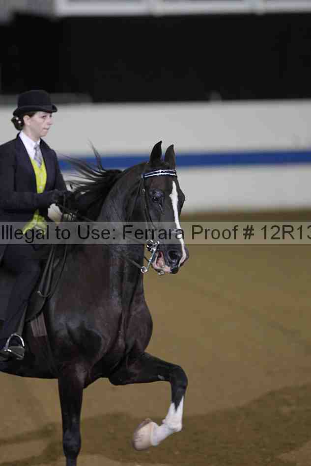 Proof 12r13_0279