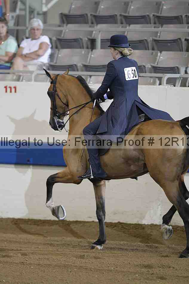 Proof 12r13_0281