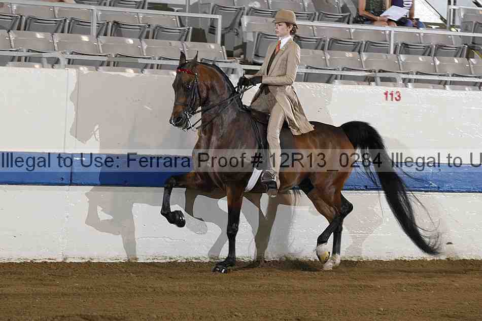 Proof 12r13_0284