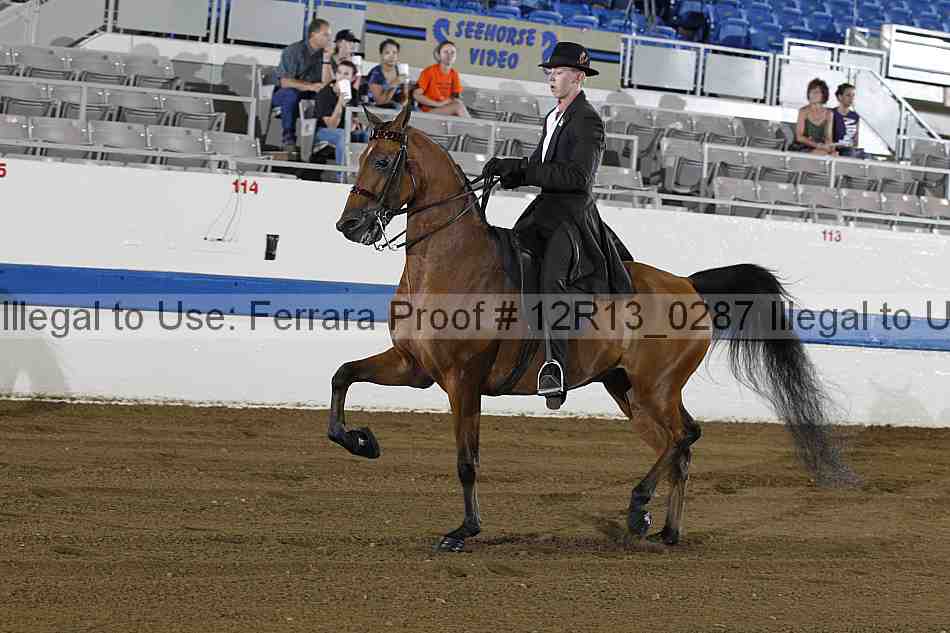 Proof 12r13_0287