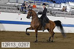 12r13_0287 proof